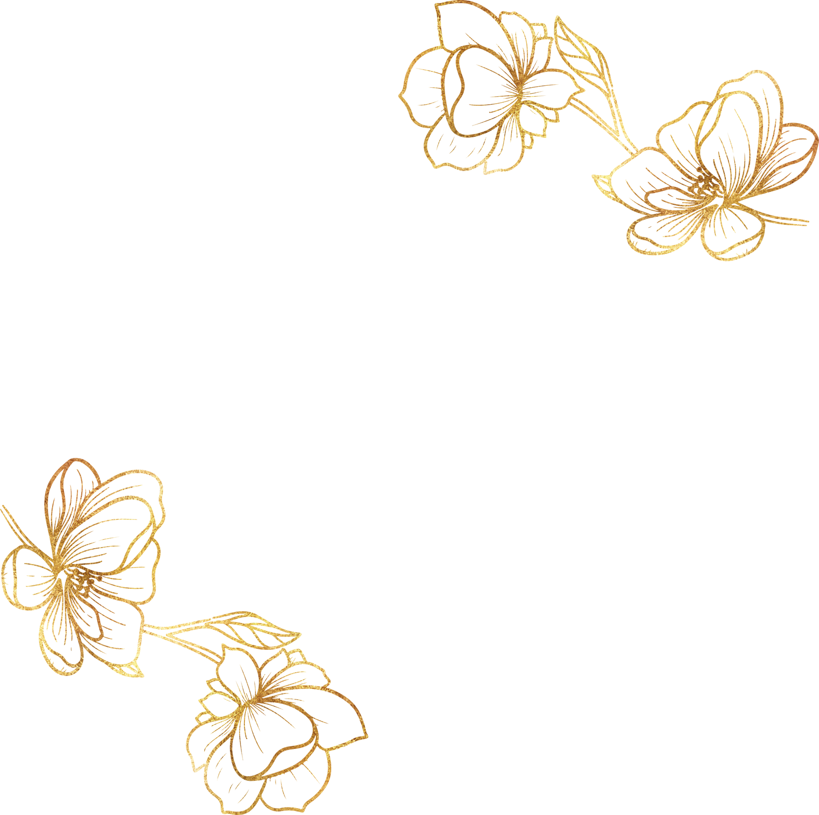 Flower Gold Background